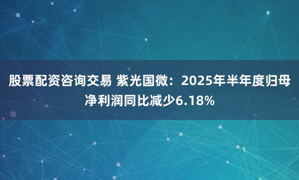 股票配资咨询交易 紫光国微：2025年半年度归母净利润同比减少6.18%